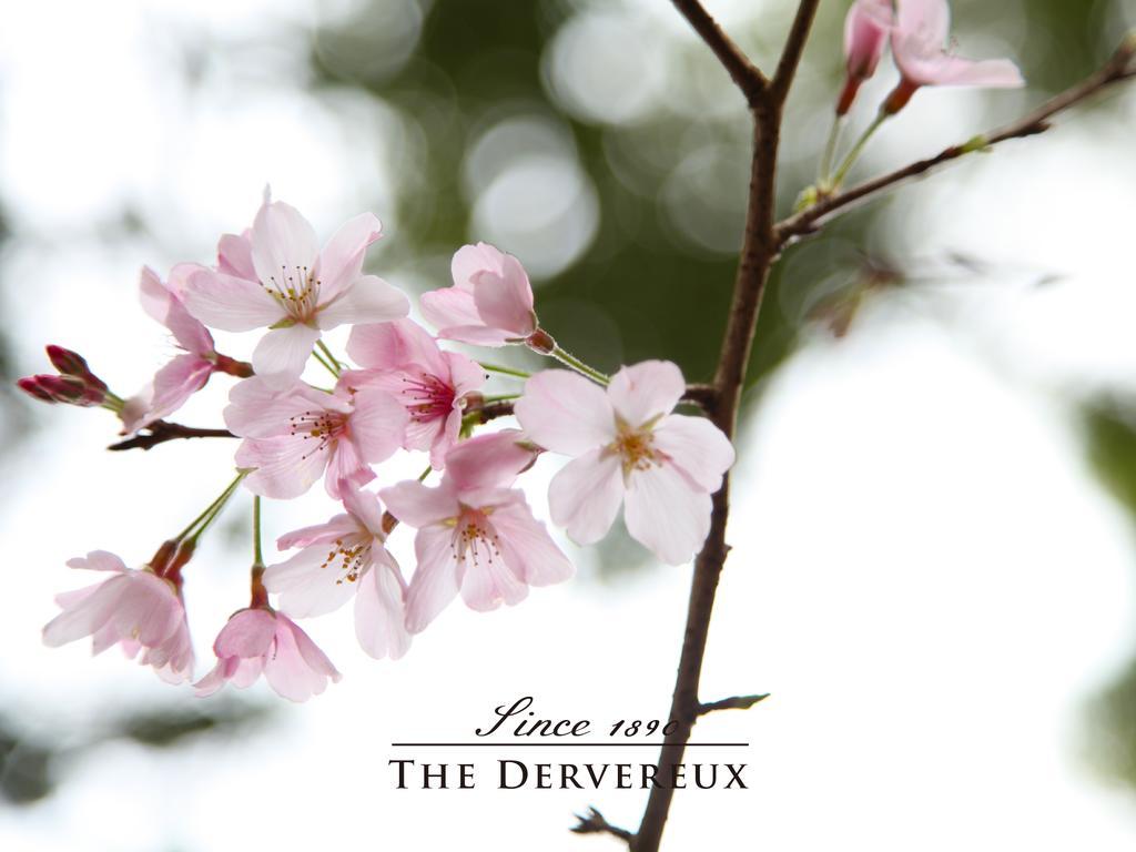 The Devereux Boutique Hotel Auckland Ngoại thất bức ảnh